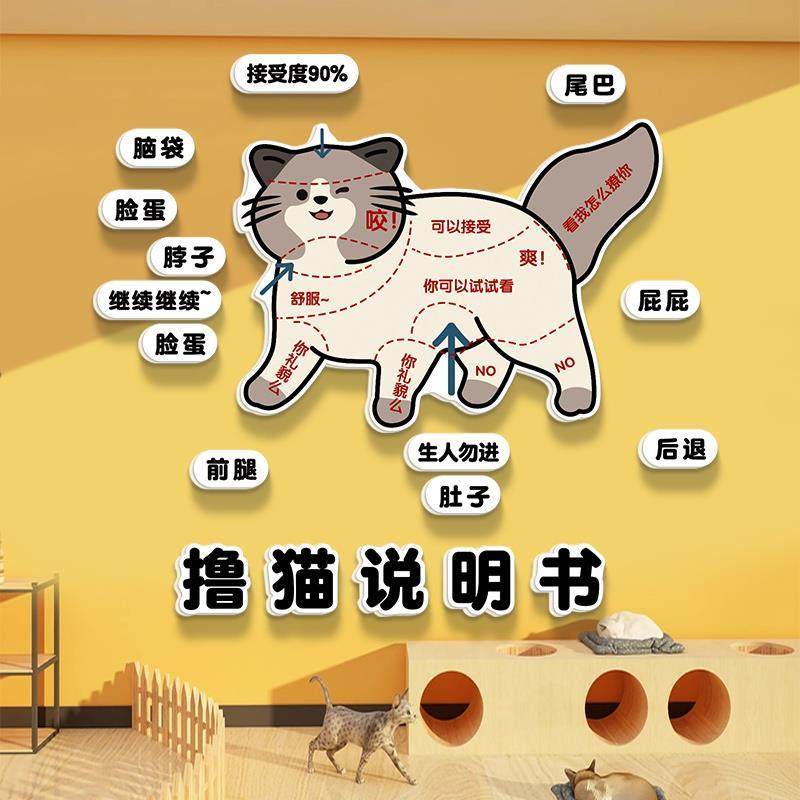 宠物店新款美容贴猫装饰画诊所背景墙说明书猫咖撸医院动物网红墙