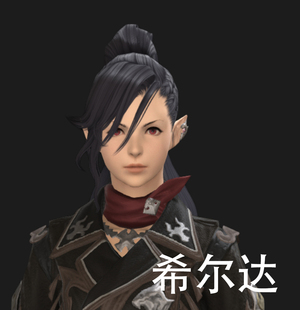 【珈蓝】ff14捏脸 最终幻想14数据 NPC人女仿捏脸型数据 希尔达