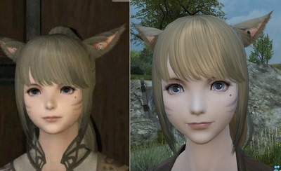 【珈蓝】ff14捏脸 最终幻想14数据 NPC猫女脸型数据 熙洛阿里亚珀