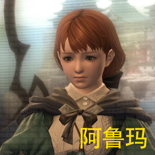 【珈蓝】最终幻想14 ff14捏脸数据 -阿鲁玛NPC-人族 近似脸型定制
