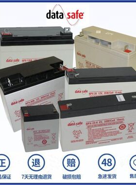 DataSafe蓄电池 NPX-25T 35-6 50 80B 100 135R FR 12V 6V W 电池