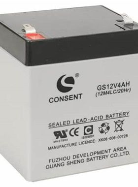 CONSENT蓄电池 GS12V4AH 12M4LC/20HR免维护可充电电池