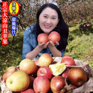 四川西昌盐源高原大凉山冰糖心丑苹果新鲜水果孕妇孩子农产品包邮