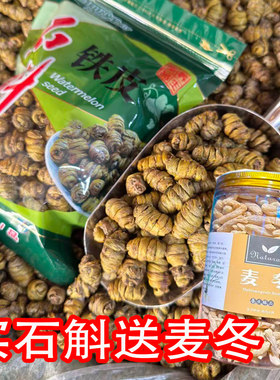 甄选正宗铁皮石斛枫斗软脚石解耳环石斛龙须石斛胶质多化渣无苦味