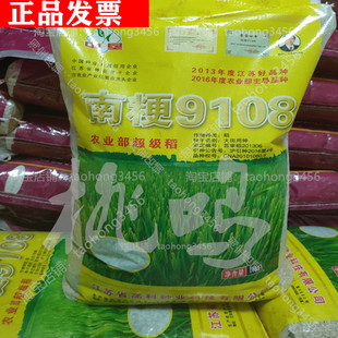 水稻种子南粳9108优质高产圆粒水稻谷珍珠香米种子亩产高达1600斤