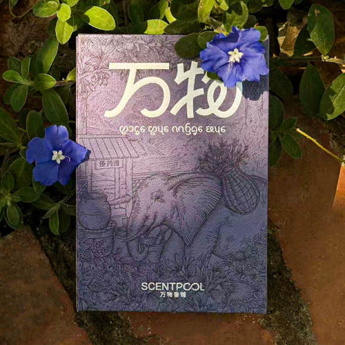 万物铺香线香香薰西双版纳灵气