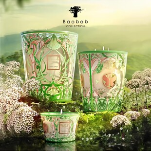 baobab檀健次同款香薰蜡烛比利时手工小众高级香氛教师教师礼物