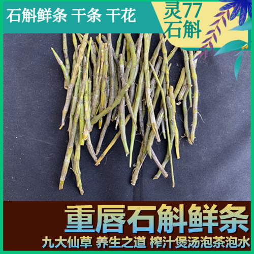 重唇石斛鲜条 滋补石斛 煲汤泡茶泡水榨汁  500克一斤