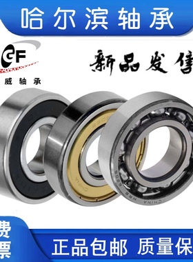 哈尔滨轴承NGF6200 6201 6202 6203 6204 6205 6206 2RSZ低速轴承