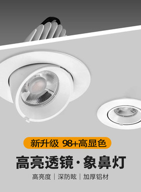 新一代透镜款象鼻灯LED