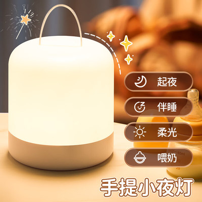 手提灯遥控双色可变光小夜灯5V
