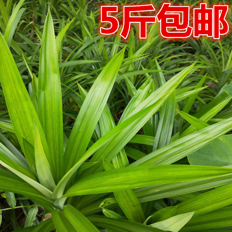°ßìµ