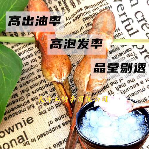 乡北席长白山整只林蛙干雪蛤干雪蛤油蛤蟆油林蛙油滋补炖甜品18克