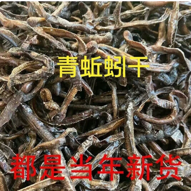鱼饵中药材小地龙原条 蚯蚓干整条地龙广地龙地龙虫新货500克包邮