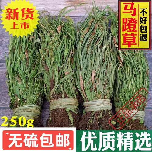 中药材野生伏牛山名贵天然过桥