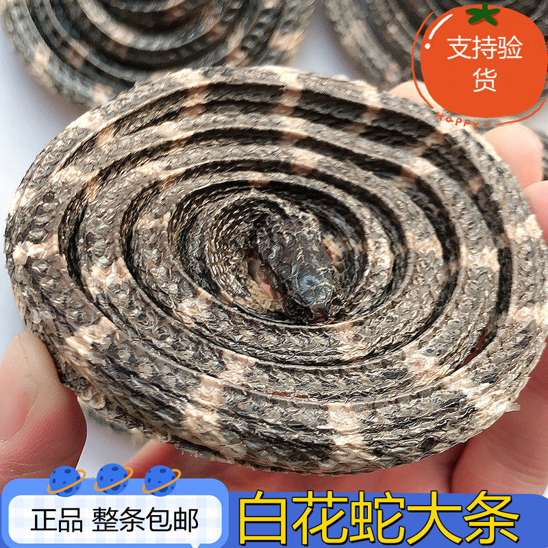 整条超大30克包邮百花小蛇中药材
