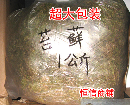 高质量苔藓1公斤水龟乌龟冬眠角蛙(水苔全干保湿饲养盒无泥)可批,宠物/宠物食品及用品,爬宠垫料,淘宝优惠券,粉丝福利购,淘宝优惠卷