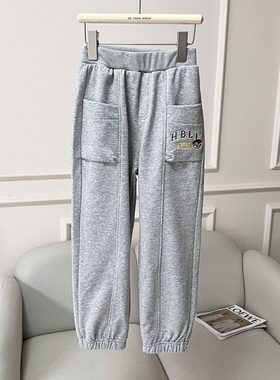 24秋季新款男童运动裤中大童卫裤休闲收脚毛圈棉长裤HBLL24-3-9