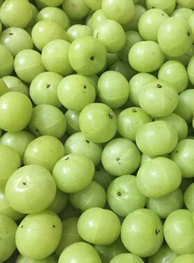 野生油甘果云南特产滇橄榄新鲜现摘油甘果牛甘余甘果应季青皮酸果