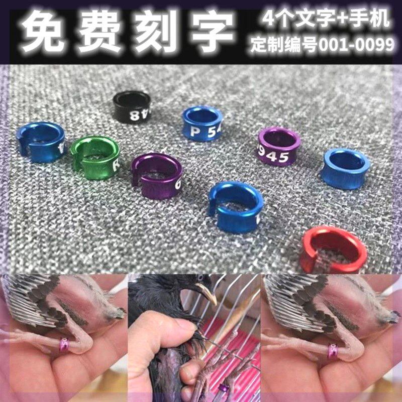 玄凤鹦鹉专用脚环彩铝s合金足环鹦鹉八哥玄凤牡丹鸟鸽子开口环
