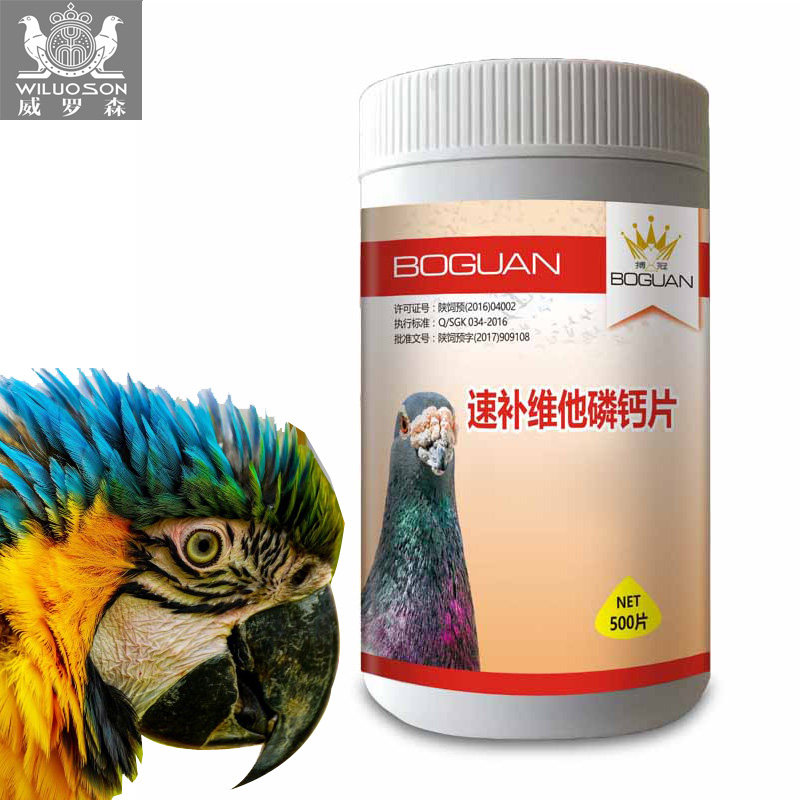 速补维他磷钙片搏冠鸽药赛信观赏鸽子强肌壮骨博冠磷钙包邮