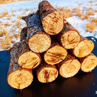 松木柴火炉壁炉篝火户外露营取暖装饰摆件天野炊然原木篝火家用