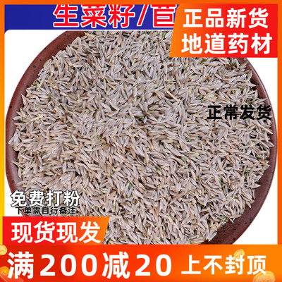 中药材生菜子500克包邮