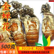 中药材 金蝉花/土蝉花/蝉菌/蝉蛹草500克/包邮