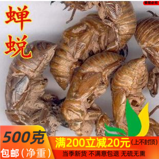 中药材蝉蜕 蝉衣 蝉脱  250克包邮
