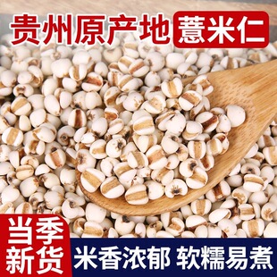 薏米仁500g小薏苡仁中药材新货贵州铁白薏米苡米仁小粒散装薏苡仁