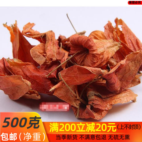 红姑娘皮 灯笼草 锦灯笼 酸浆 苦姑娘皮 中药材