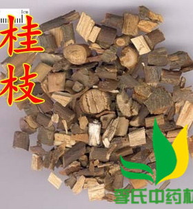 桂枝 柳桂 桂枝 500克可搭配茯苓包邮
