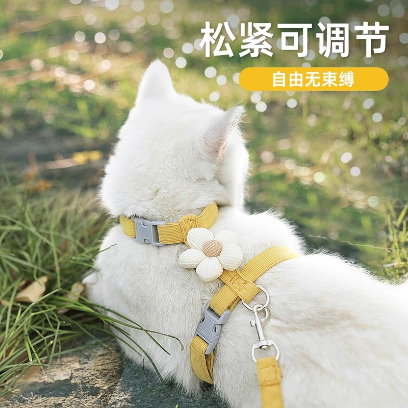 塔夫曼溜猫绳幼猫幼犬宠物牵引绳