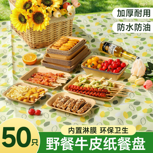 塔夫曼一次性食品级餐盒野餐专用