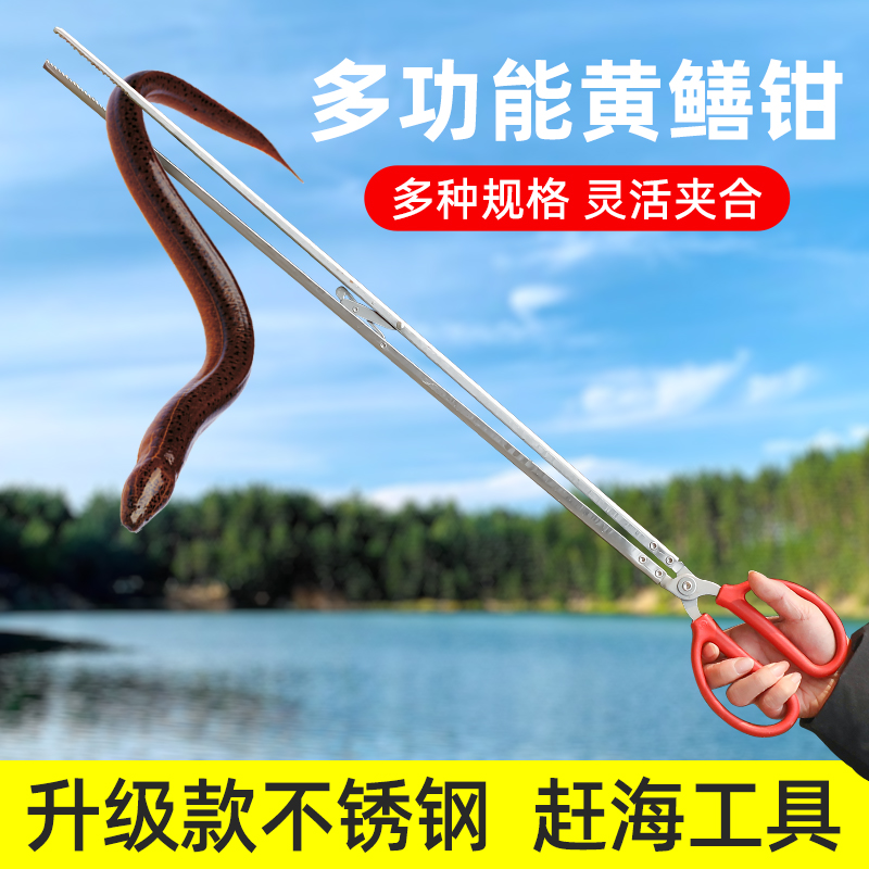塔夫曼黃鱔夾子趕海工具