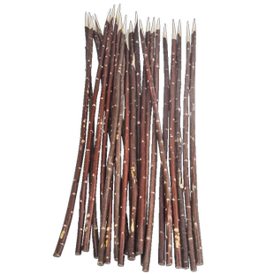 新疆红柳烤肉签子羊肉串红柳枝木签烧烤大串红柳木串肉烤串签包邮