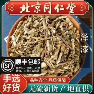 同仁堂野生泽漆中药材500g猫眼草五凤草五朵云可磨泽漆粉人工拣选