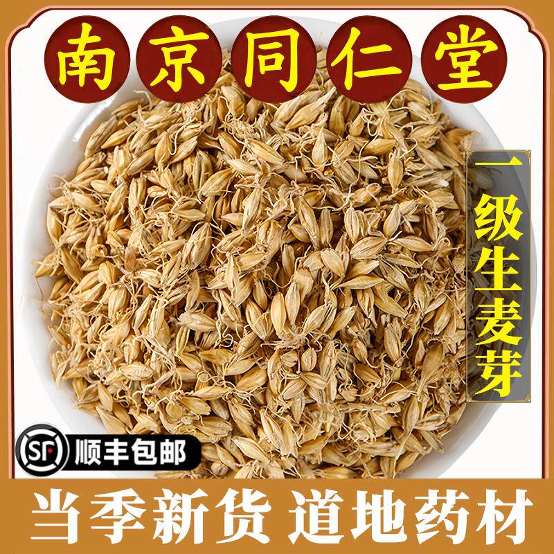 南京同仁堂正品生麦芽中药材野生大麦芽生大麦芽茶生麦芽回奶无杂