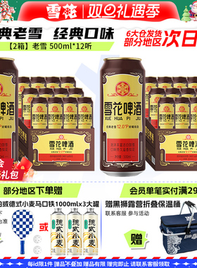 共24听沈阳经典老雪花500ml*12听装*2箱整箱 雪花啤酒官方旗舰店