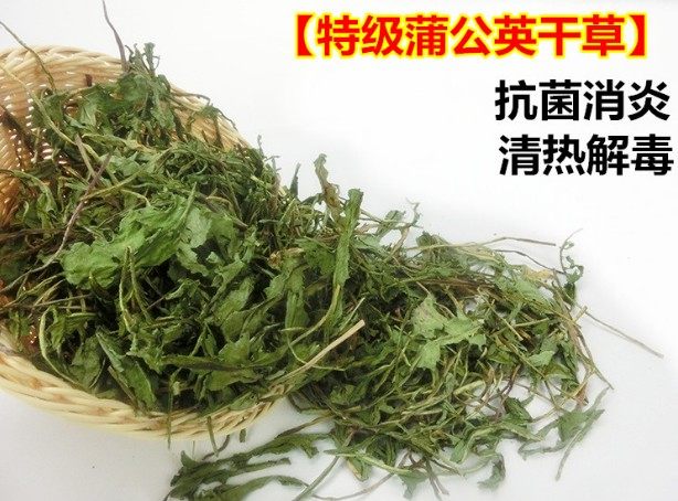兔子龙猫豚鼠 蒲公英干草清热解毒抗菌消炎 纯天然 100g