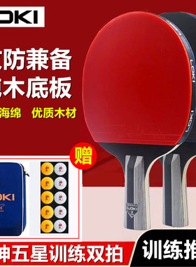 雷神loki五星级双拍乒乓球拍专业级训练初学比赛高弹力学生2只装