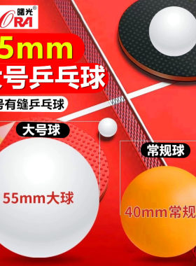 世纪曙光大号55mm乒乓球DIY手工ABS新材料宠物玩具新手训练慢速球