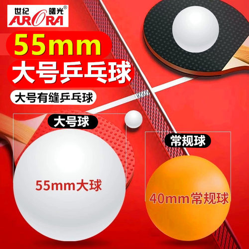 世纪曙光大号55mm乒乓球DIY手工ABS新材料宠物玩具新手训练慢速球