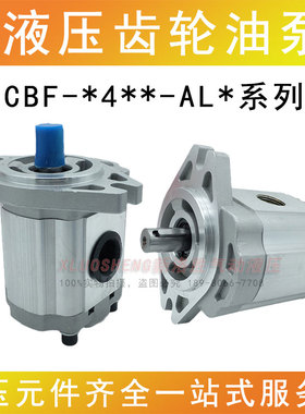 CBF油泵CBF-F410/F416/F432/E420/F425/F440/F450-ALP/ALPL齿轮泵