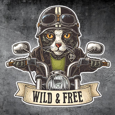 风和自由wind free个性猫贴纸电动车哈雷机车汽车复古改装 装饰贴