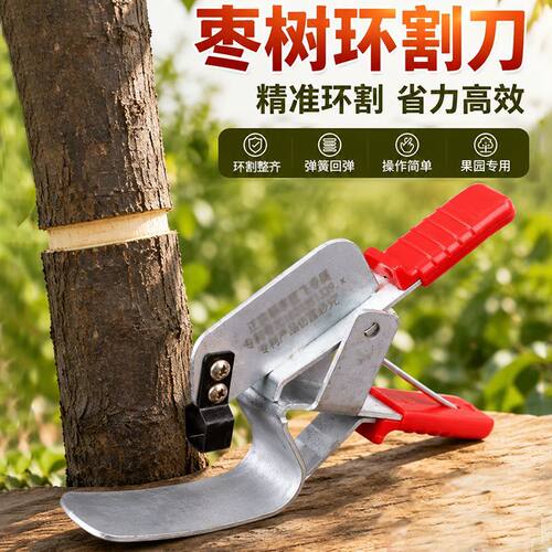 飞毛腿枣树环剥器环剥夹园林枣树环剥工具剥皮刀开甲器割树皮果树
