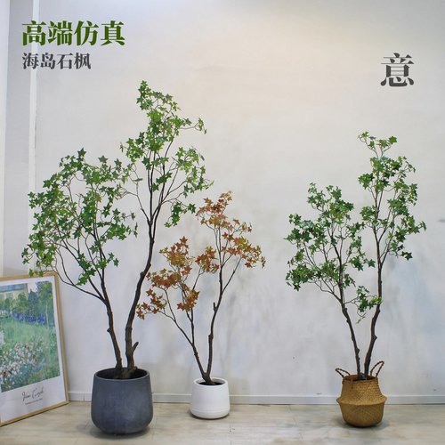 高端仿真海岛石枫树盆景