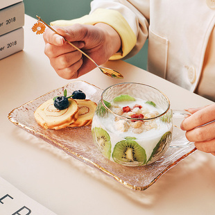 速发高颜值好看玻璃燕麦碗早餐盘麦碗酸奶碗甜品水果片一人具餐食