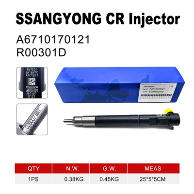 EMBR00301D共轨喷油器双龙爱腾