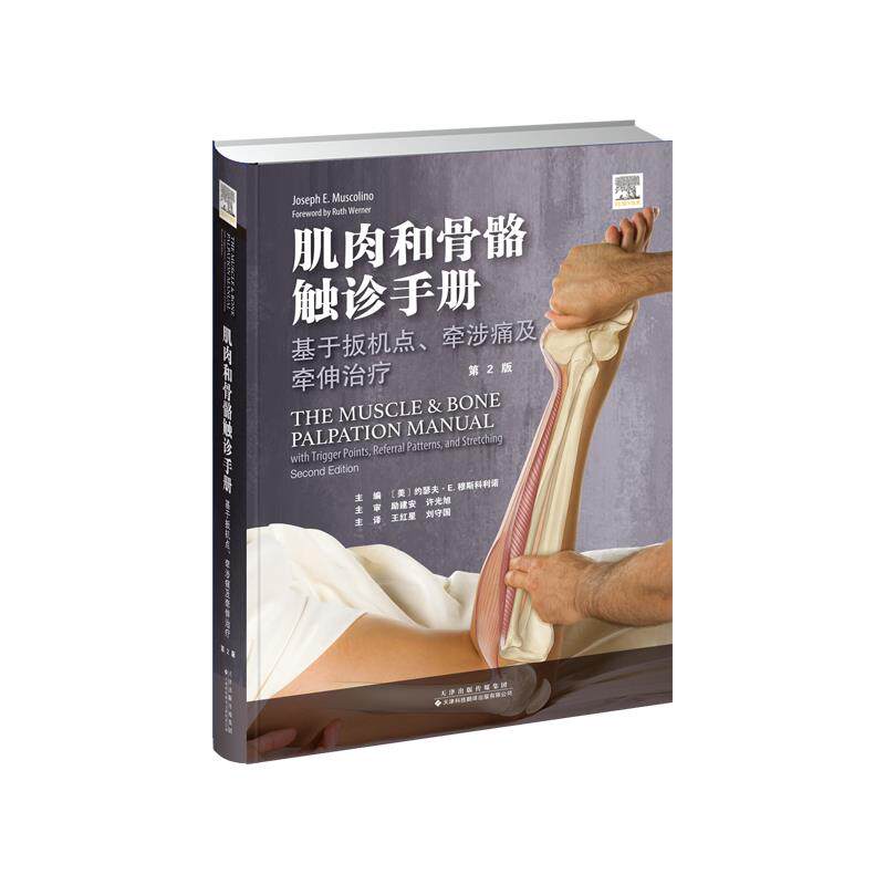 【官方正版】 肌肉和骨骼触诊手册 9787543339873 主编 (美) 约瑟夫·E. 穆斯科利诺 天津科技翻译出版有限公司